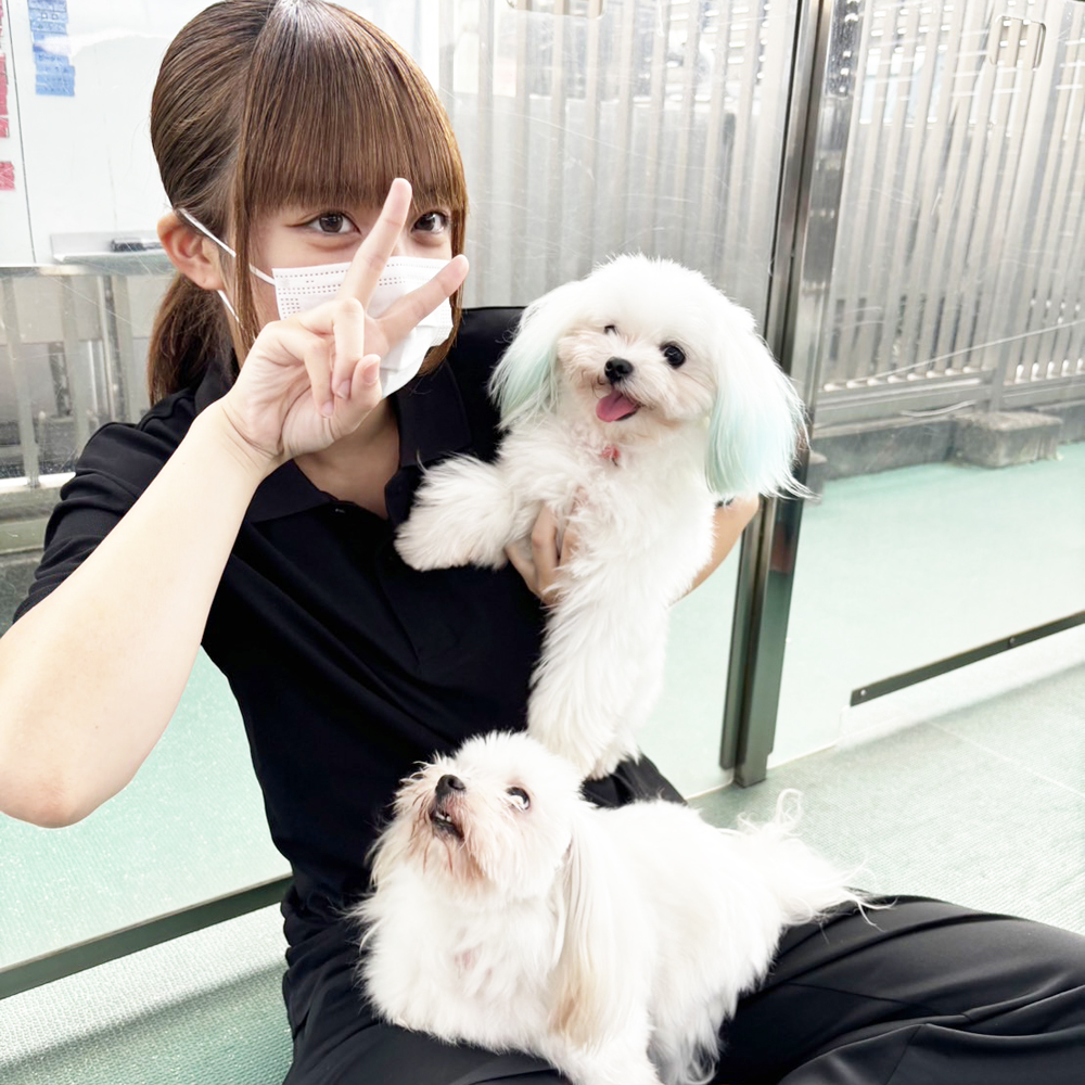 Ｗａｎ活で生徒が撮影した写真♪③